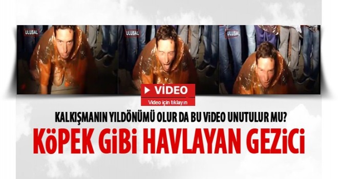 Gezi'den akıllarda kalanlar: Köpek gibi havlayan eylemci