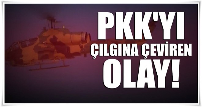 Zap'a dikilen Türk Bayrağı PKK'yı çıldırttı!