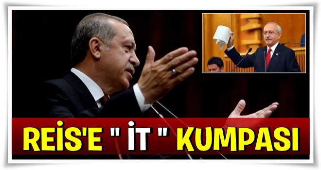 Reis’e “it” kumpası!