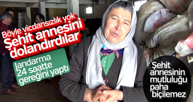 Dolandırılan şehit annesinin inekleri bulundu