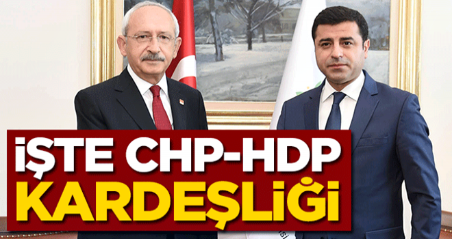 İşte CHP-HDP kardeşliği