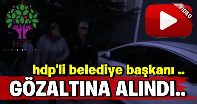 HDP’li Belediye başkanı gözaltına alındı ..