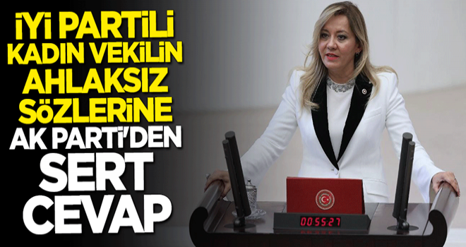 İYİ Partili kadın vekilin ahlaksız sözlerine AK Parti'den sert cevap