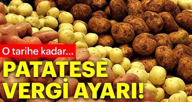 Sıfır gümrük ile 200 bin ton patates ithal edilebilecek