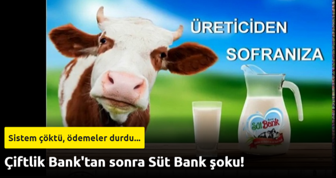 Çiftlik Bank’tan sonra şimdi de Süt Bank… 110 milyon dolar yatırdılar! Emekli albay bile kurtulamadı