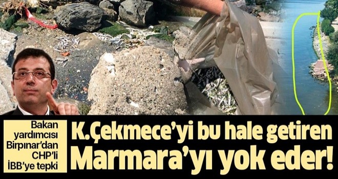 Küçükçekmece Gölü'nü kaderine terk eden CHP'li İBB'ye tepki: Marmara'yı da yok eder .