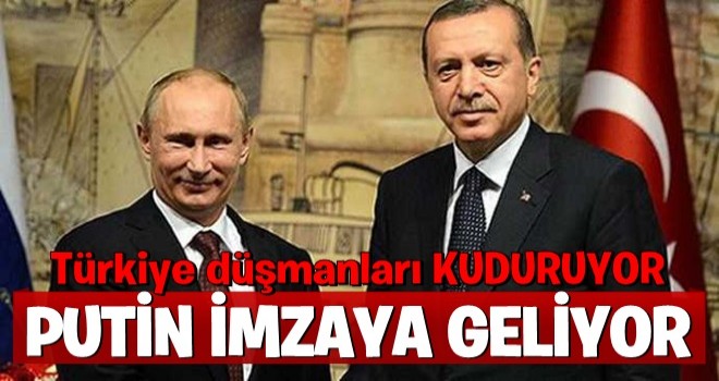 Putin Akkuyu Nükleer Santrali için Türkiye'ye geliyor