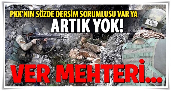 PKK'ya ağır darbe: Sözde Dersim sorumlusu öldürüldü