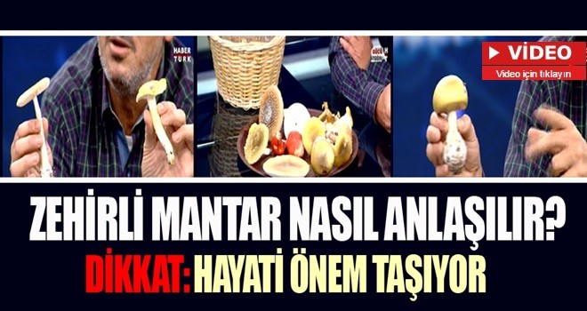 Zehirli mantar nasıl anlaşılır?