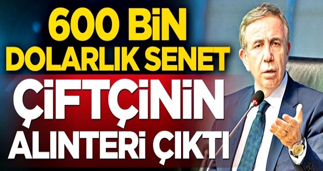 600 bin dolarlık senet çiftçinin alın teri çıktı