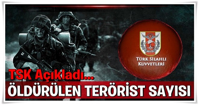 TSK açıkladı! İşte öldürülen terörist sayısı .