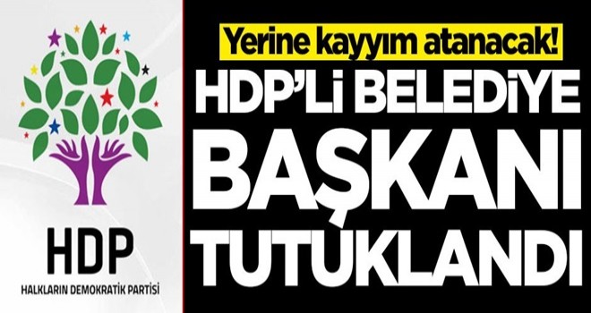 HDP'li başkan tutuklandı! Kayyım atanacak