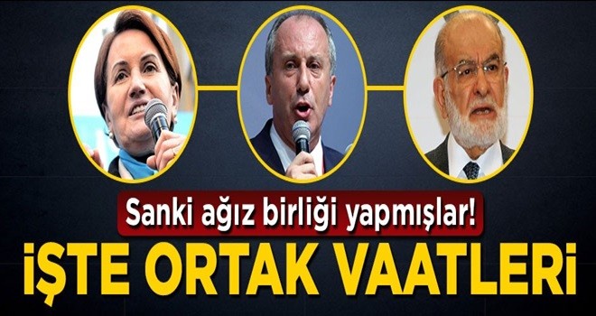 İşte muhalefetteki cumhurbaşkanı adaylarının ortak vaadi