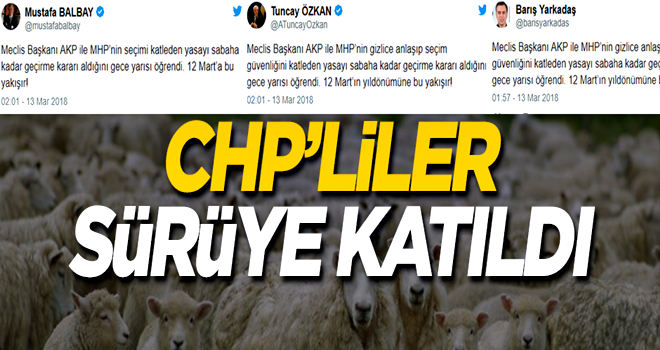 CHP'lilerden tek dil