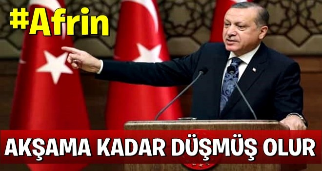 Cumhurbaşkanı Erdoğan: Akşama kadar Afrin tamamen düşmüş olur