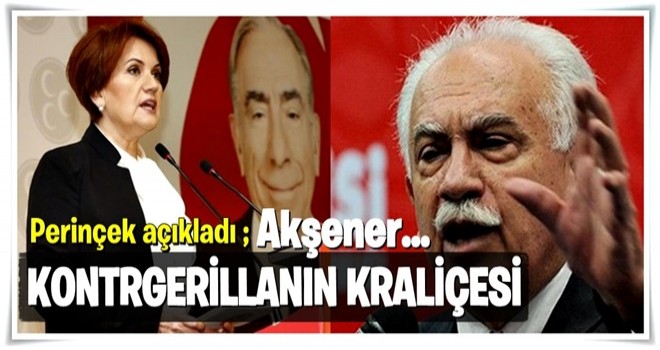 Perinçek: Akşener kontrgerilla veya gladio'nun kraliçesi...