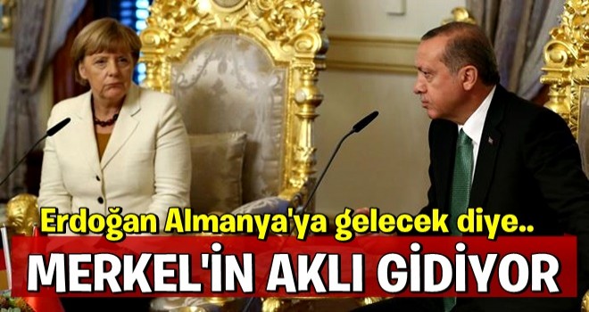 Almanya'nın erken seçim hazımsızlığı! Skandal ifadeler