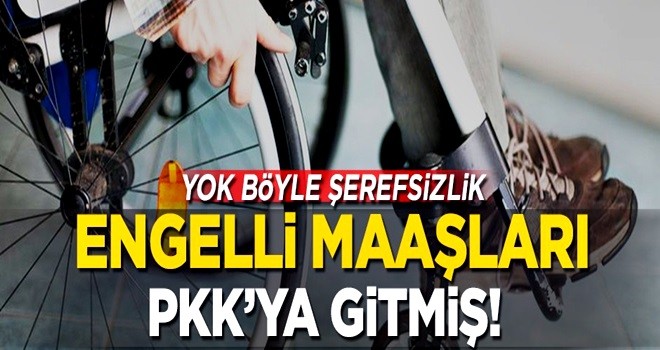 Yok böyle şerefsizlik! Engelli maaşları PKK'ya gitmiş