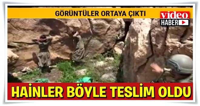 Siirt'in Pervari İlçesi'nde teröristler böyle teslim oldu