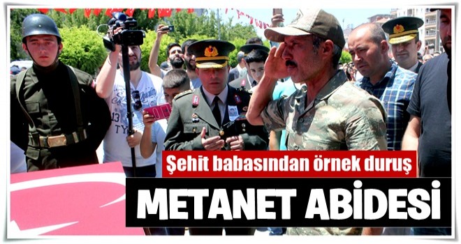 Metanet abidesi