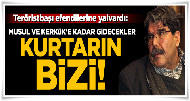 Teröristbaşı Salih Müslim yalvardı: Bizi kurtarın!