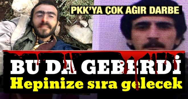 Tunceli'de PKK'ya ağır darbe